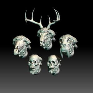 5 Heads