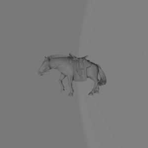 Dzungarian Horse D