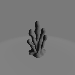Fungal Mushroom 5