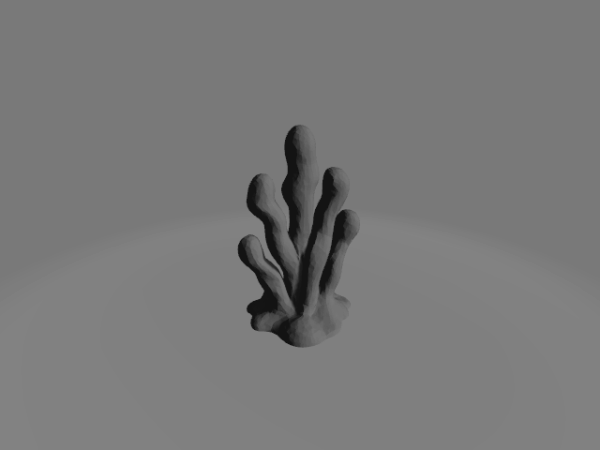 Fungal Mushroom 5