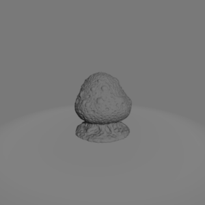 Fungal Mushroom 6