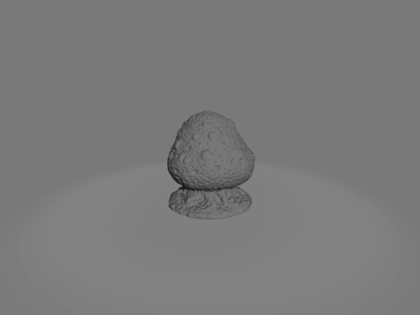 Fungal Mushroom 6