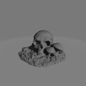Fungal Mushroom 9