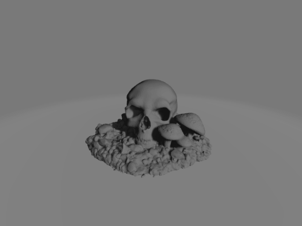 Fungal Mushroom 9