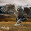 King of the Eagles