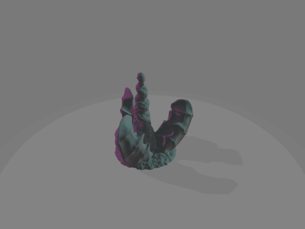 Spined Siphon Bloom