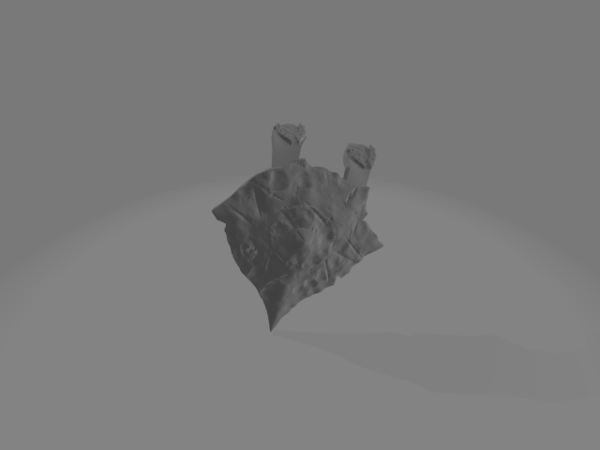 Cloak I