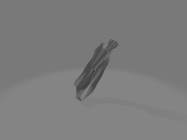 Cloak L