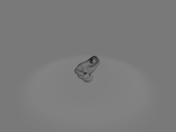 Hand Twohanded Grip