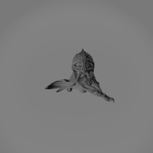 Head S