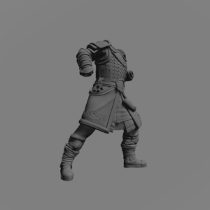 Riddermercia Warrior D