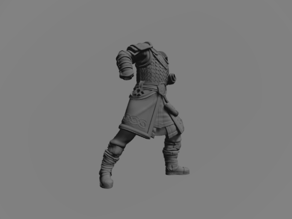 Riddermercia Warrior D